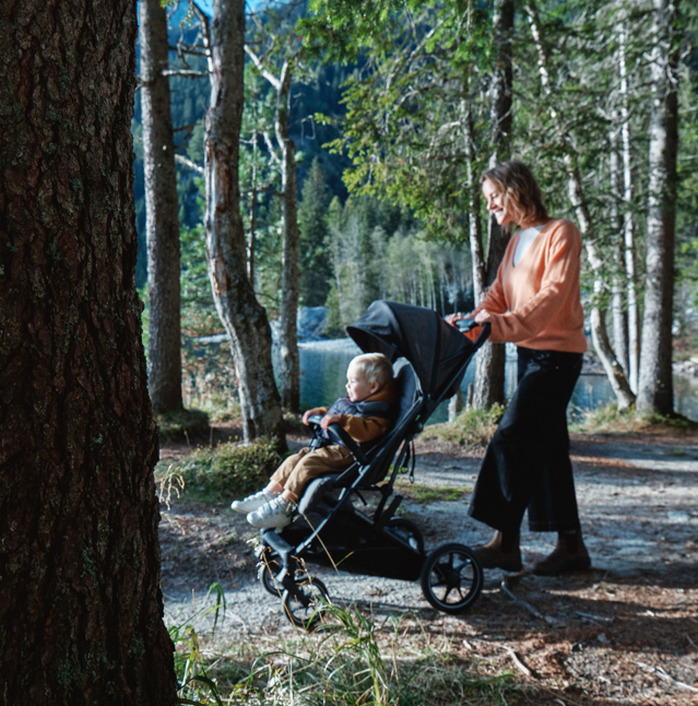 Inglesina Passeggino Maior